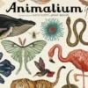 Animalium