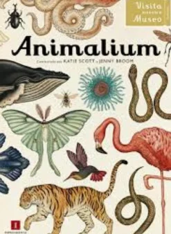 Animalium