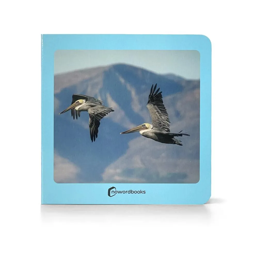 Aves