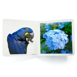 Azul