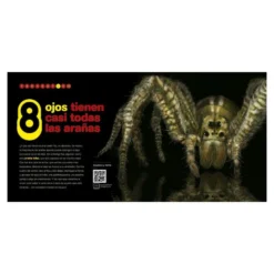 Bichos del 1 al 10