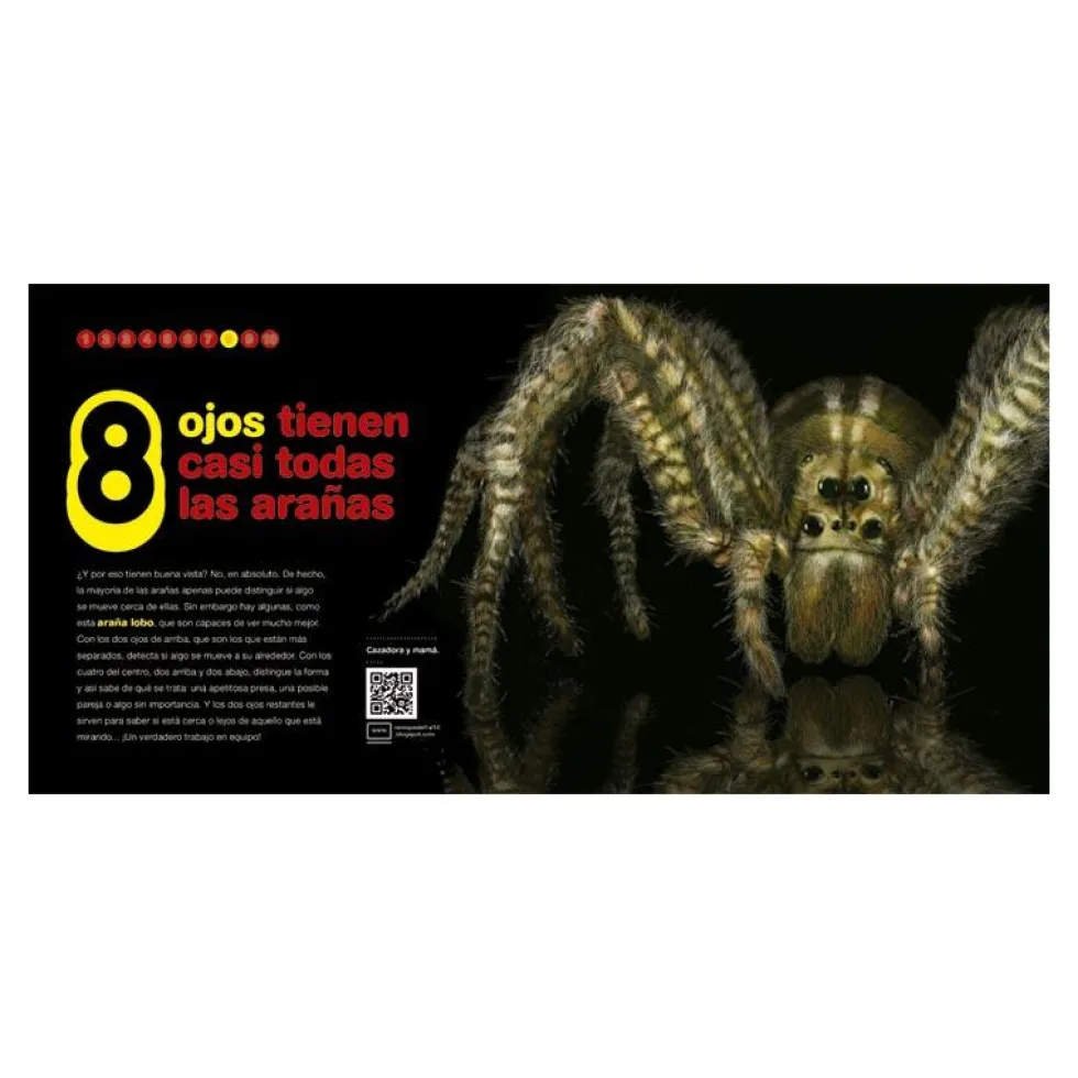 Bichos del 1 al 10
