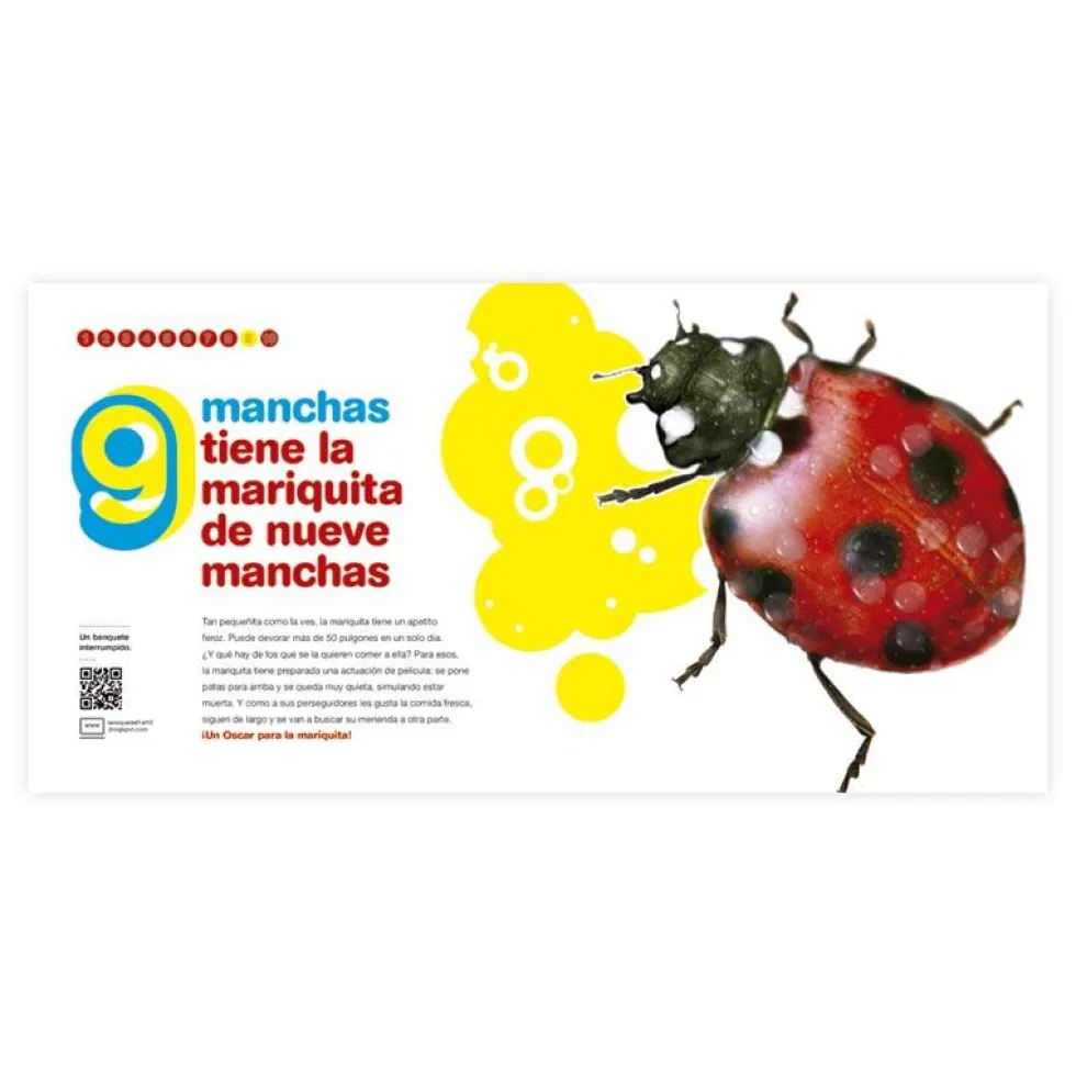 Bichos del 1 al 10