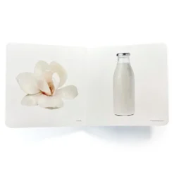 Blanco