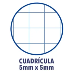 Bloc A4 cuadro 5mm. 150hj tapa extradura Oxford