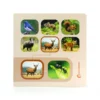Busca y encuentra Animales Bosque