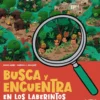 Busca y encuentra en los laberintos