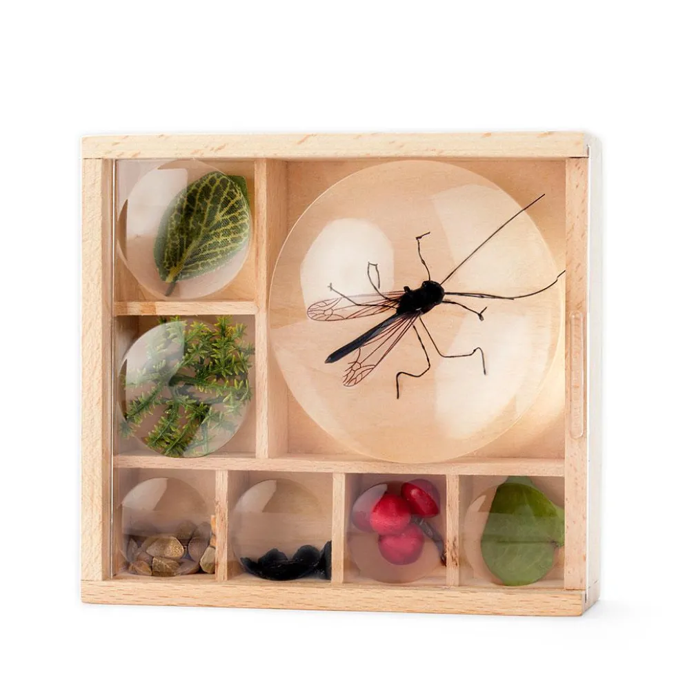Caja con lupas para observación de insectos
