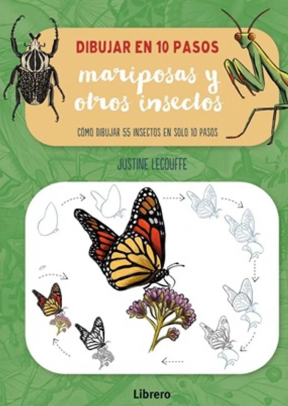 DIBUJAR MARIPOSAS Y OTROS INSECTOS EN 10 PASOS