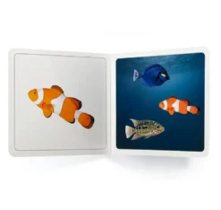 DÓNDE ESTÁN LOS PECES