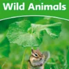 Dolphin Readers 3. Wonderful Wild Animals