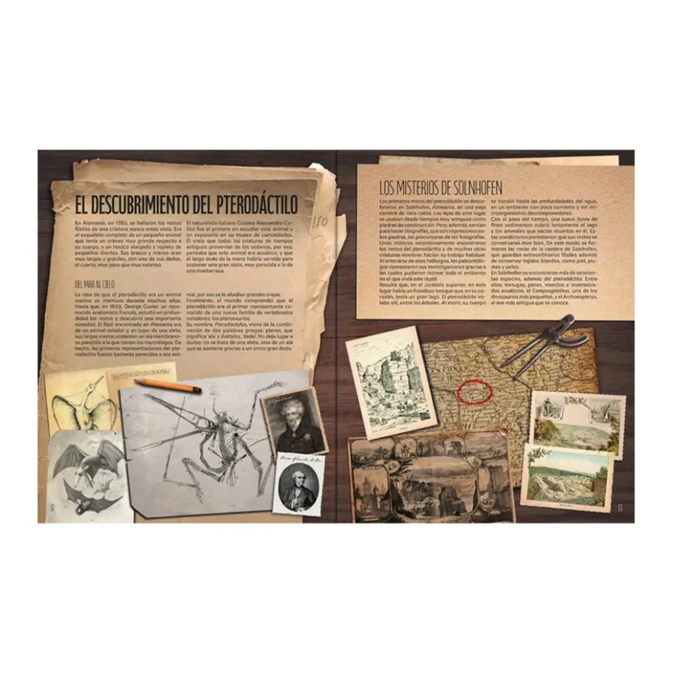 El mundo del pterodáctilo - TD