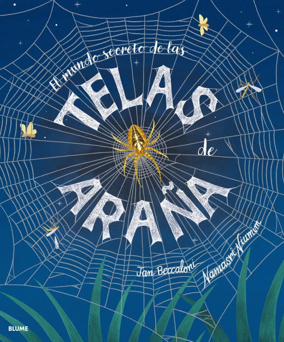 El mundo secreto de las telas de araña