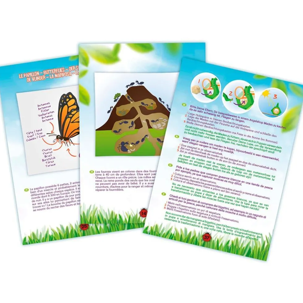 Explorador insectos