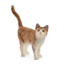 Gato