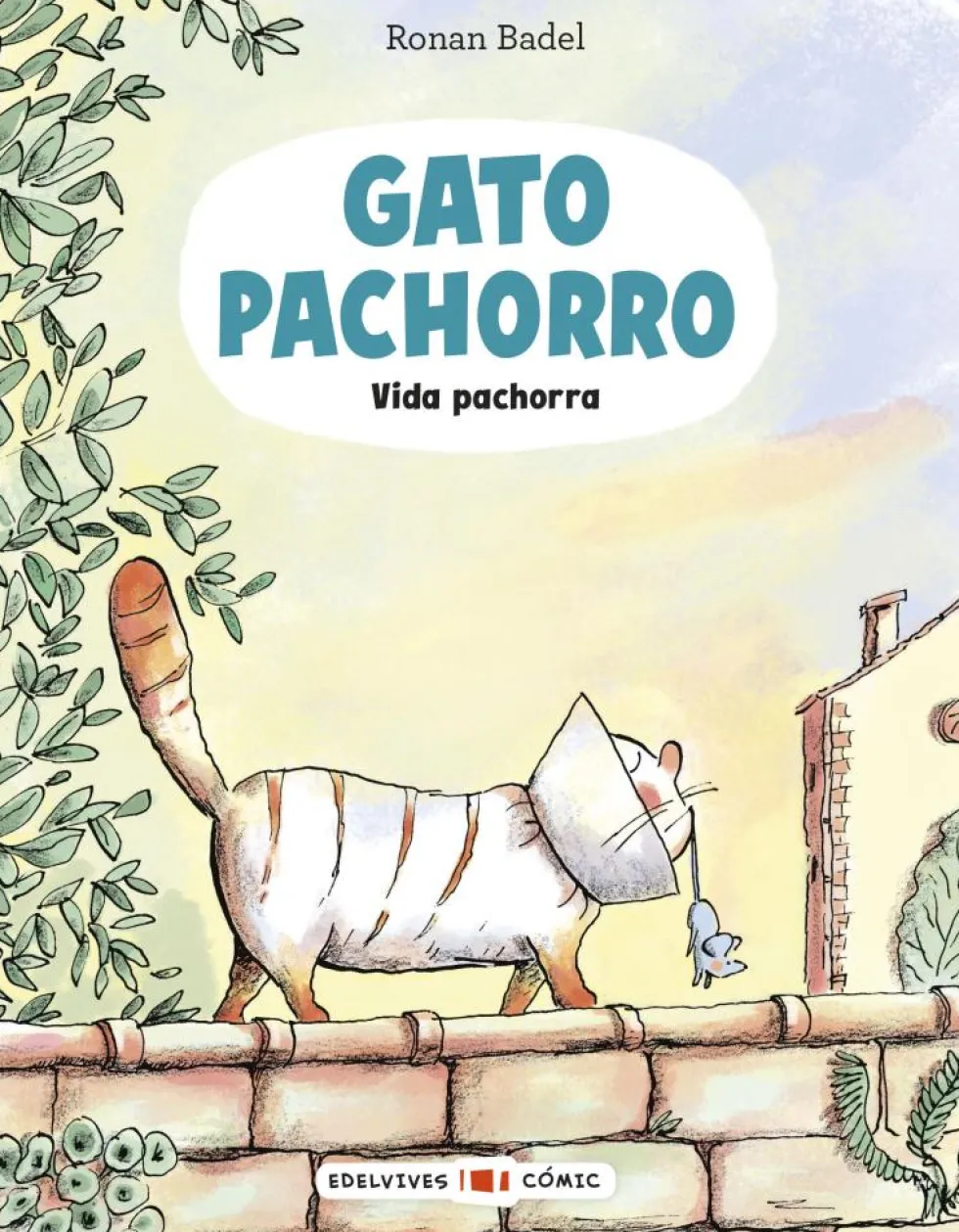 Gato Pachorro : Vida pachorra