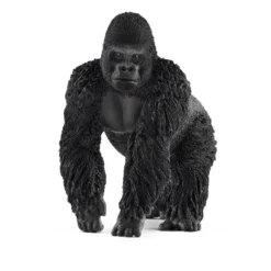 Gorila macho