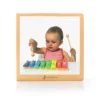 Instrumentos Musicales