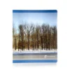 INVIERNO