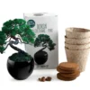 Kit de cultivo bonsái