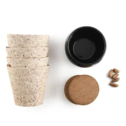 Kit de cultivo bonsái