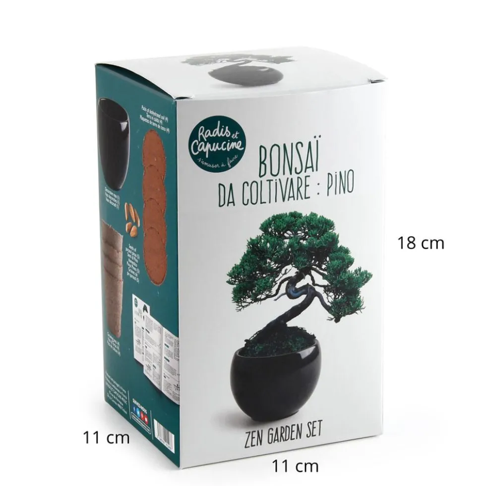 Kit de cultivo bonsái