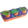 Kit de cultivo plantas mágicas set 3 macetas.