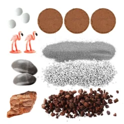 Kit de cultivo Terrarium de cristal espárragos