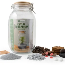 Kit de cultivo Terrarium de cristal espárragos
