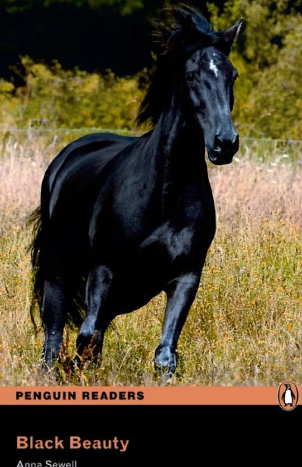 LEVEL 2: BLACK BEAUTY BOOK AND MP3 PACK