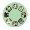 Linterna y proyector bebés animales