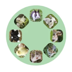 Linterna y proyector bebés animales