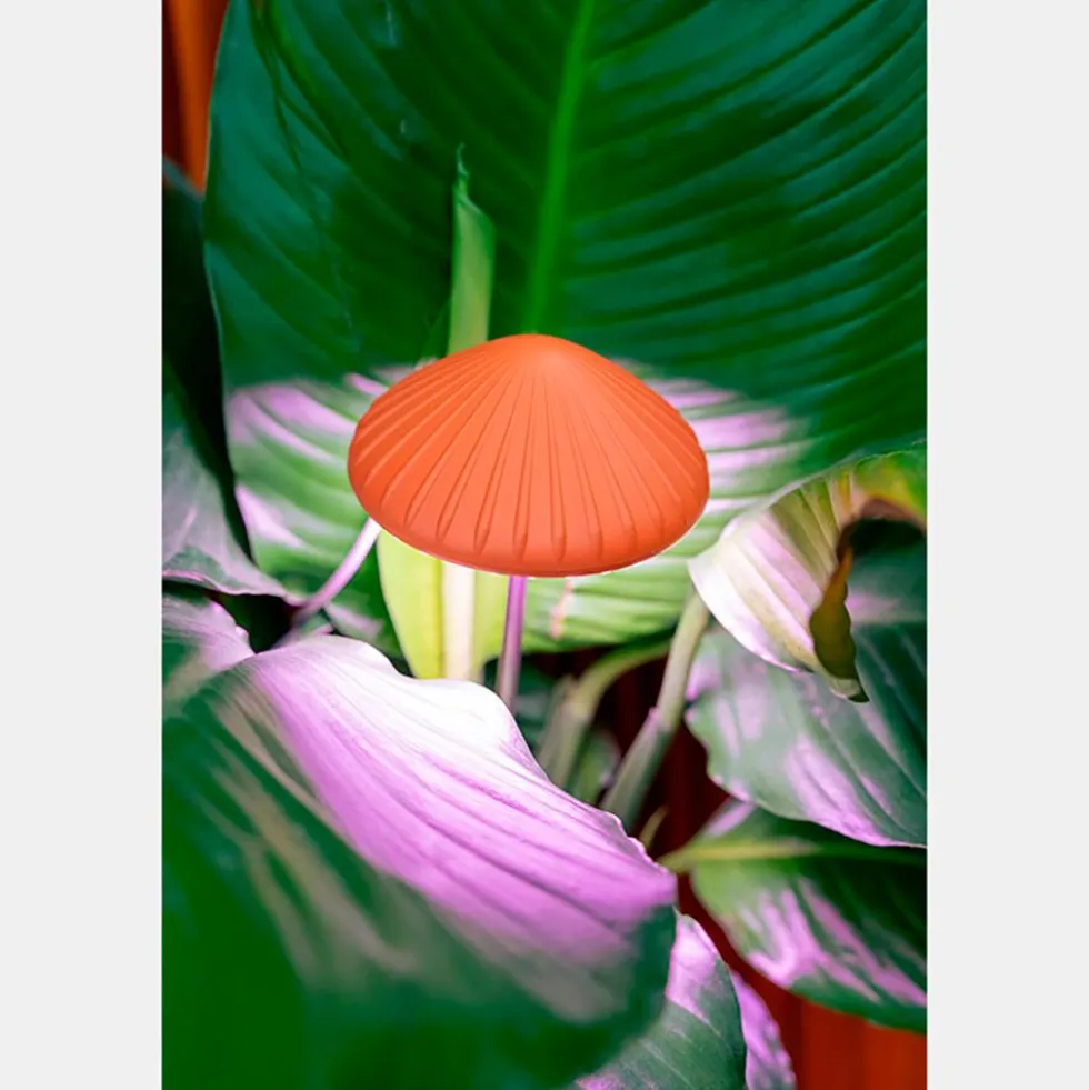 Luz de cultivo en forma de seta