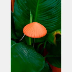 Luz de cultivo en forma de seta