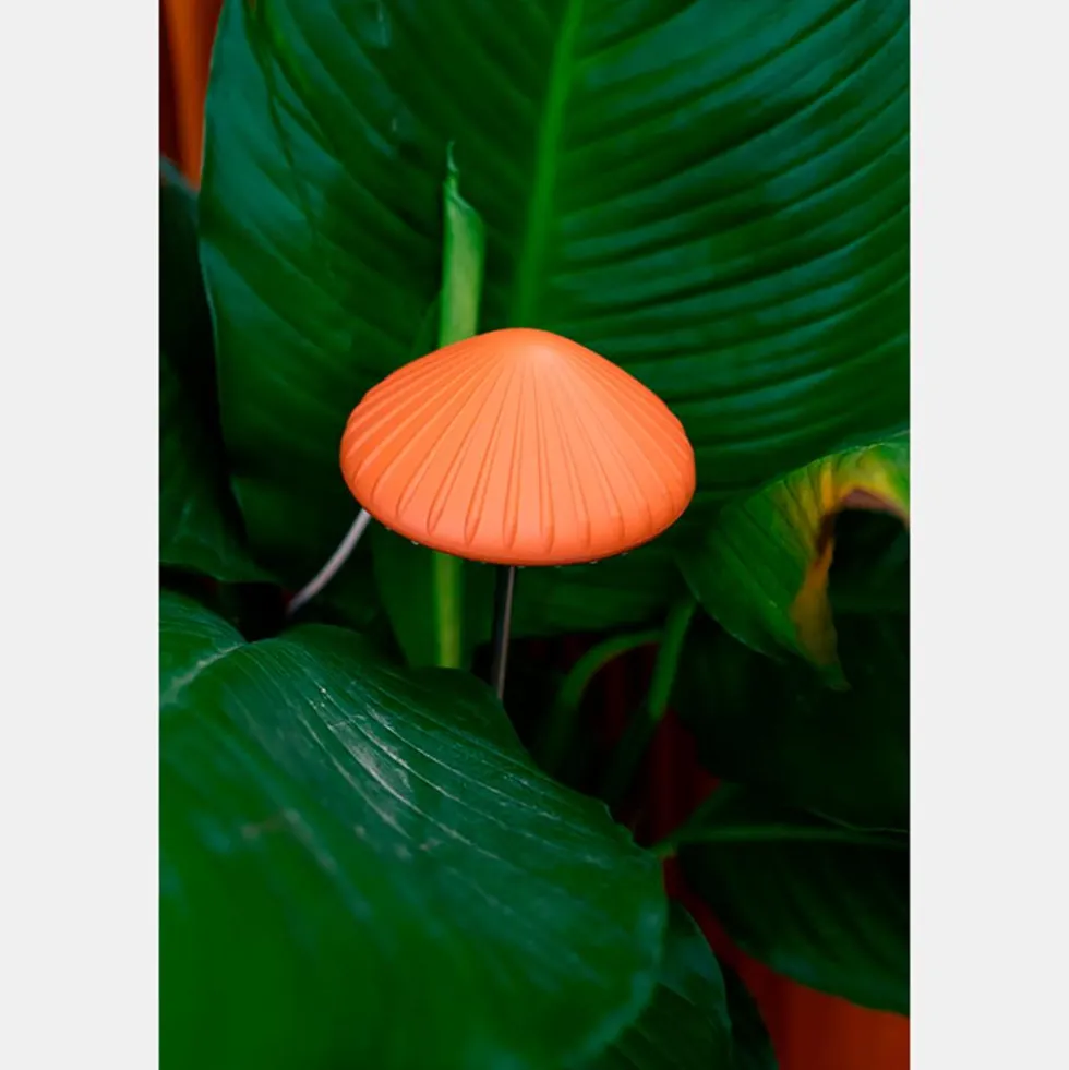Luz de cultivo en forma de seta