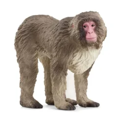 Macaco japonés. Schleich