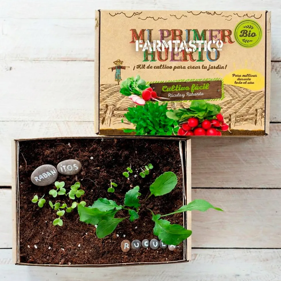 Mi primer huerto
