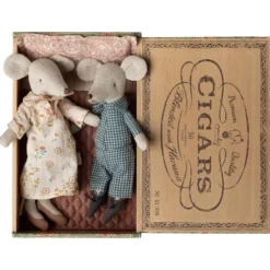 Pareja de abuelos ratones en caja
