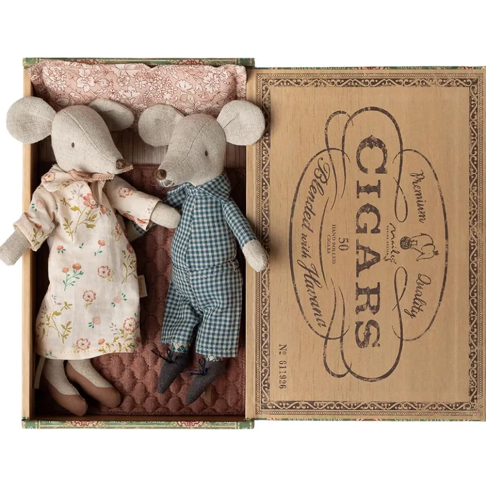Pareja de abuelos ratones en caja