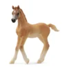 Potro árabe. Schleich