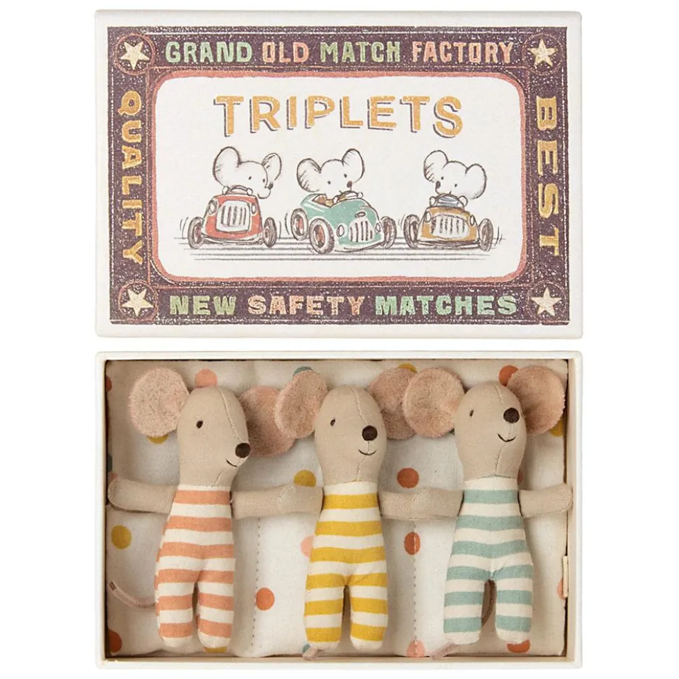 Ratoncitos trillizos bebé en cajita