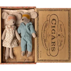 Ratones mamá y papá en caja