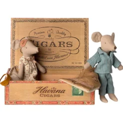 Ratones mamá y papá en caja
