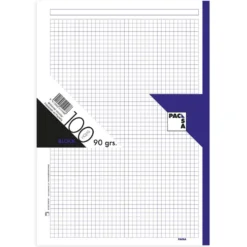 Recambio A4 cuadro 5mm. 100 hojas 4 taladros borde violeta