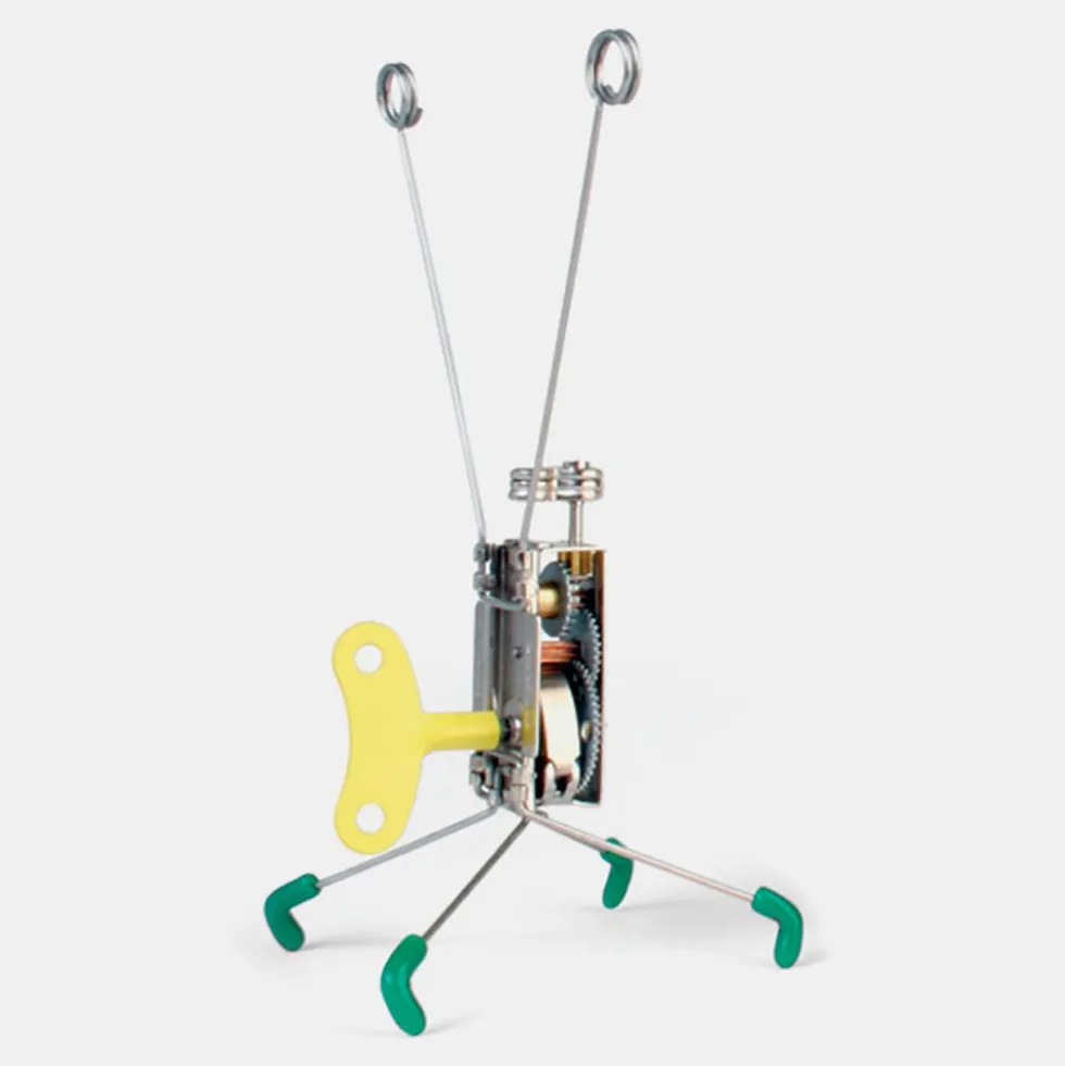 Robot a cuerda Cranky Critters