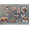 Set animales del bosque magnéticos 10 piezas