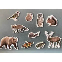 Set animales del bosque magnéticos 10 piezas