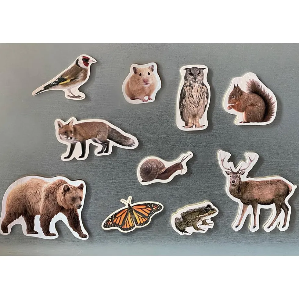 Set animales del bosque magnéticos 10 piezas