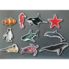 Set animales marinos magnéticos 10 piezas