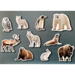 Set animales polares magnéticos 10 piezas